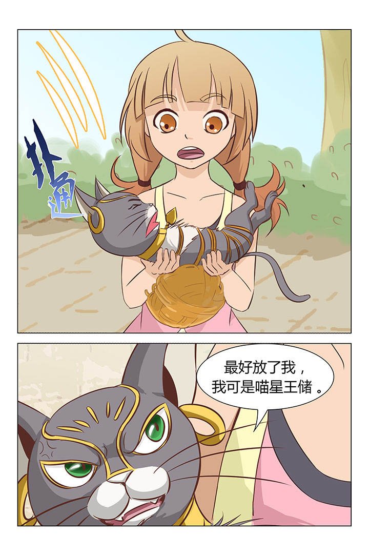 第19章：