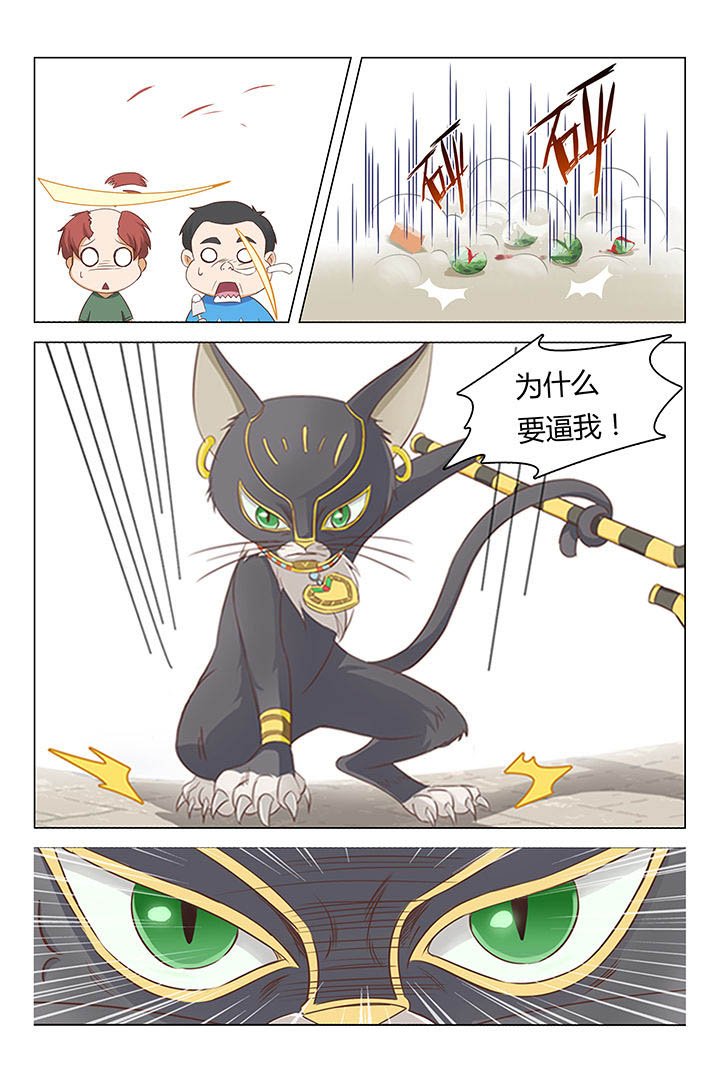 第20章：