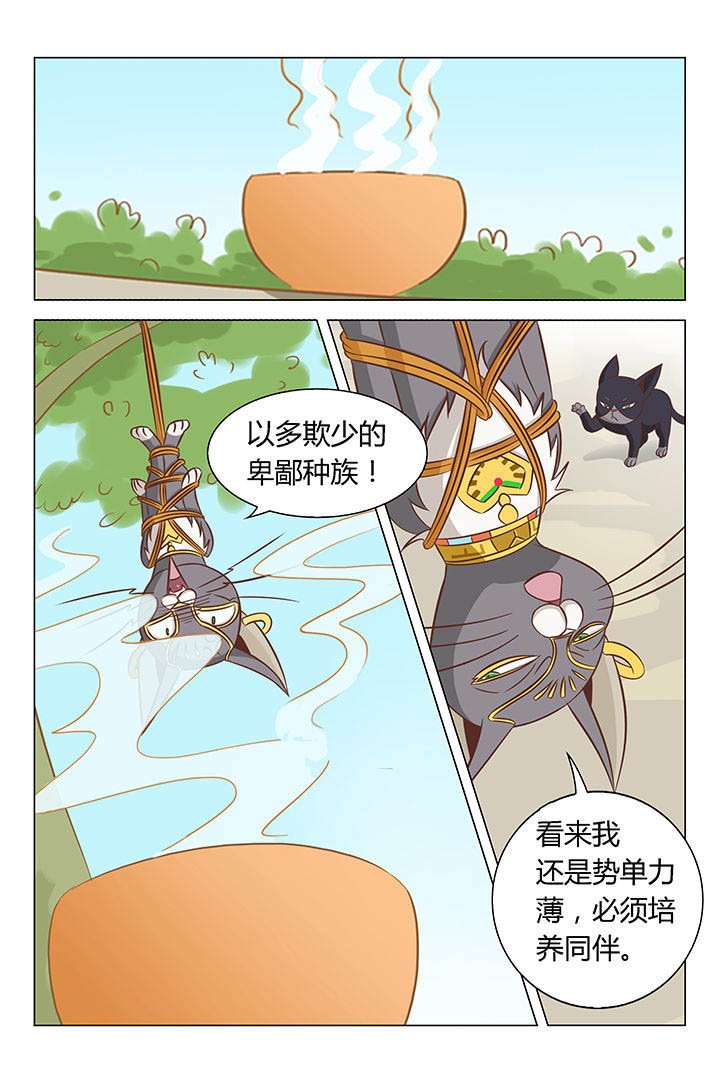 第20章：