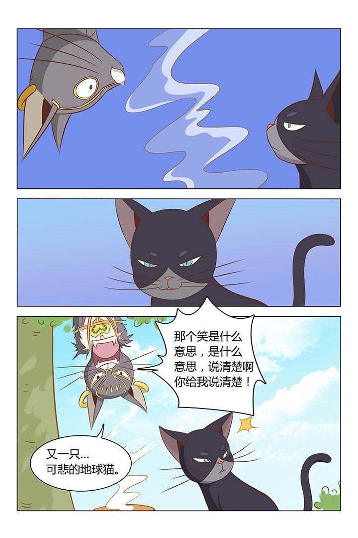第20章：