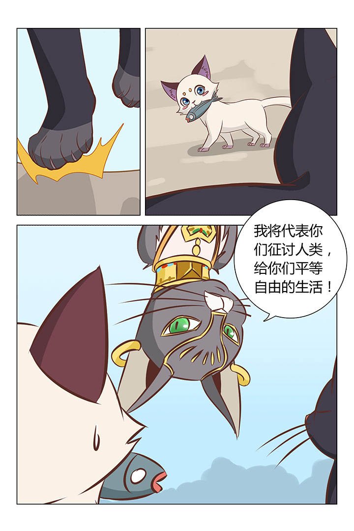 第20章：