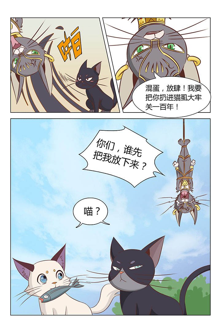 第20章：