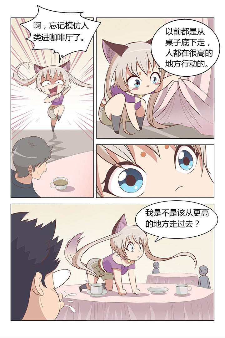 第3章：
