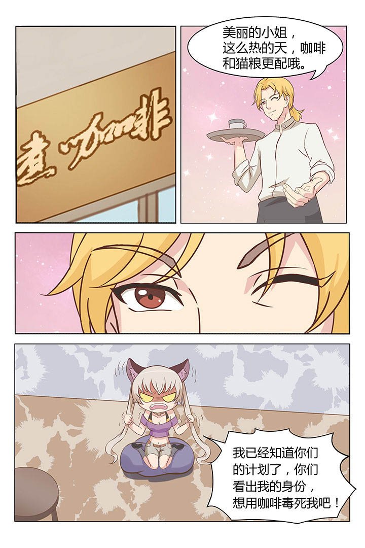 第3章：