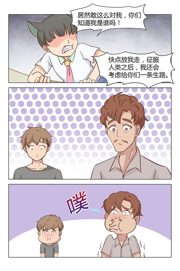 第33章：