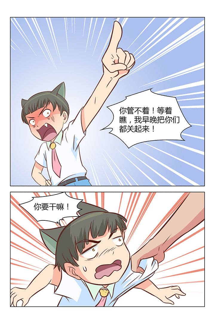 第33章：