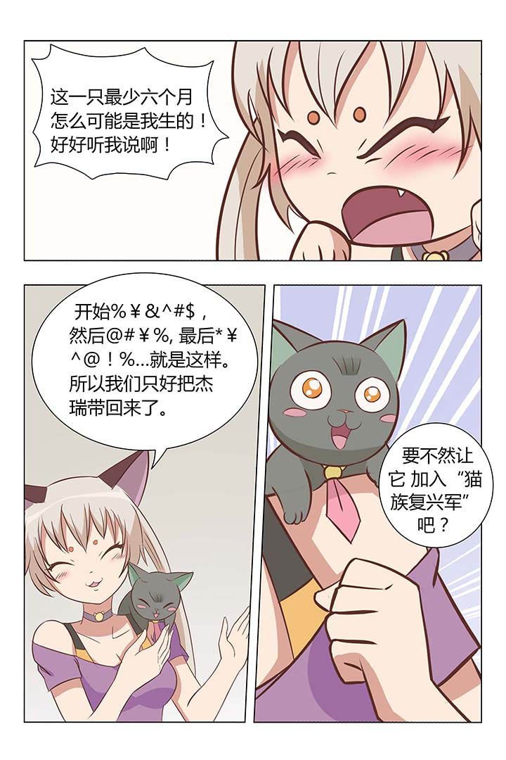 第5章：