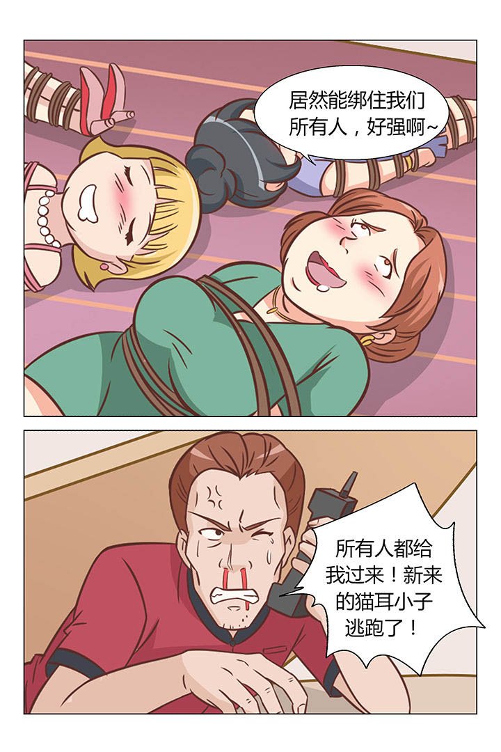 第51章：