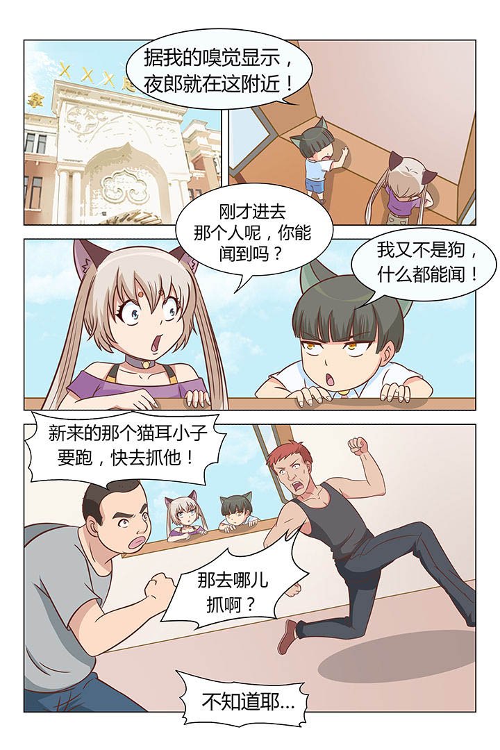 第52章：