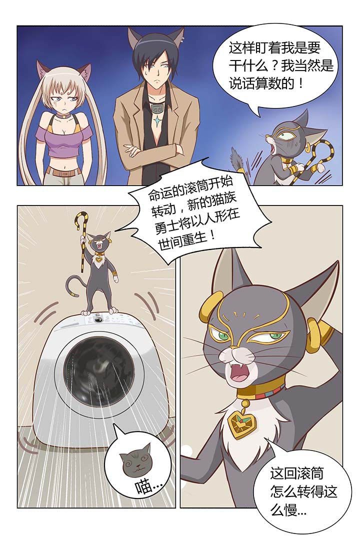 第6章：