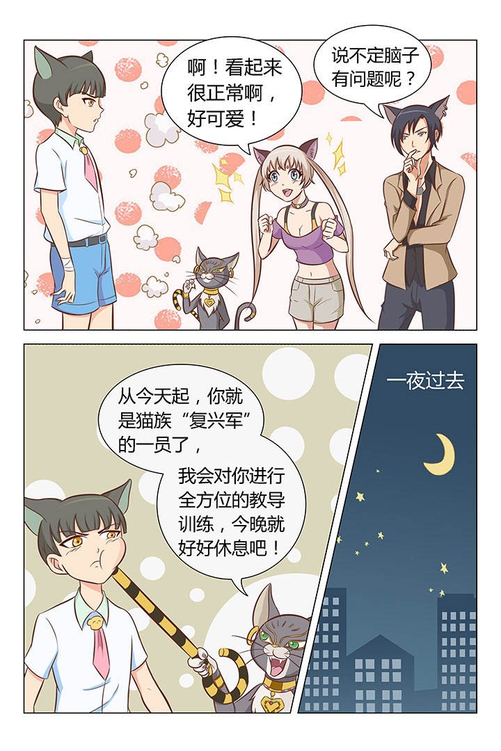 第6章：