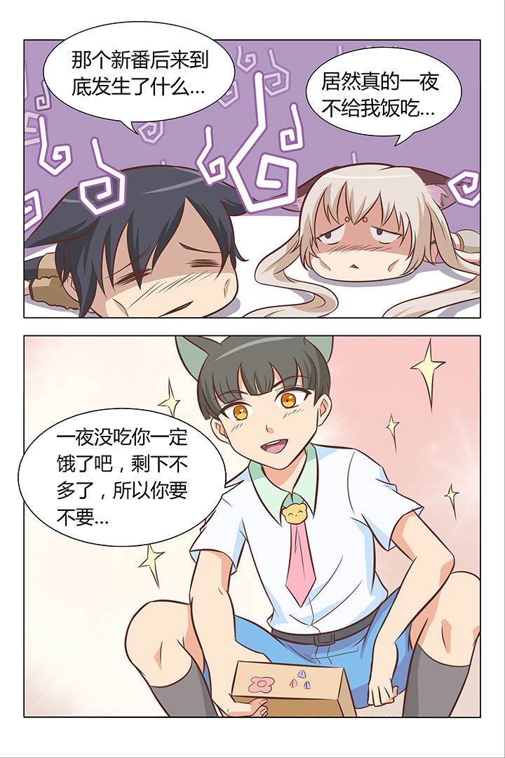 第6章：