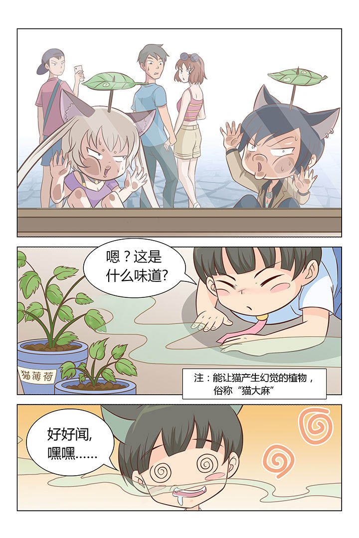 第8章：