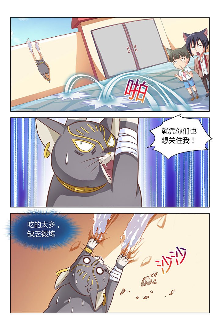 第87章：
