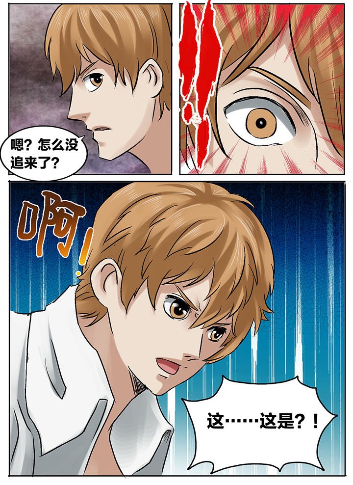 第201章：