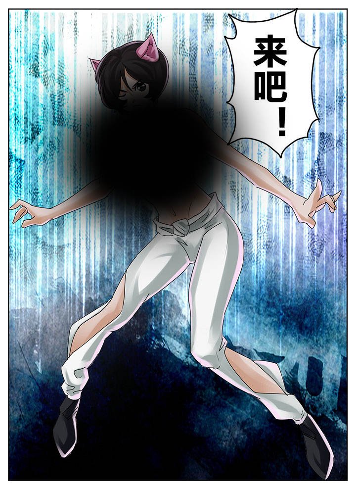 第203章：