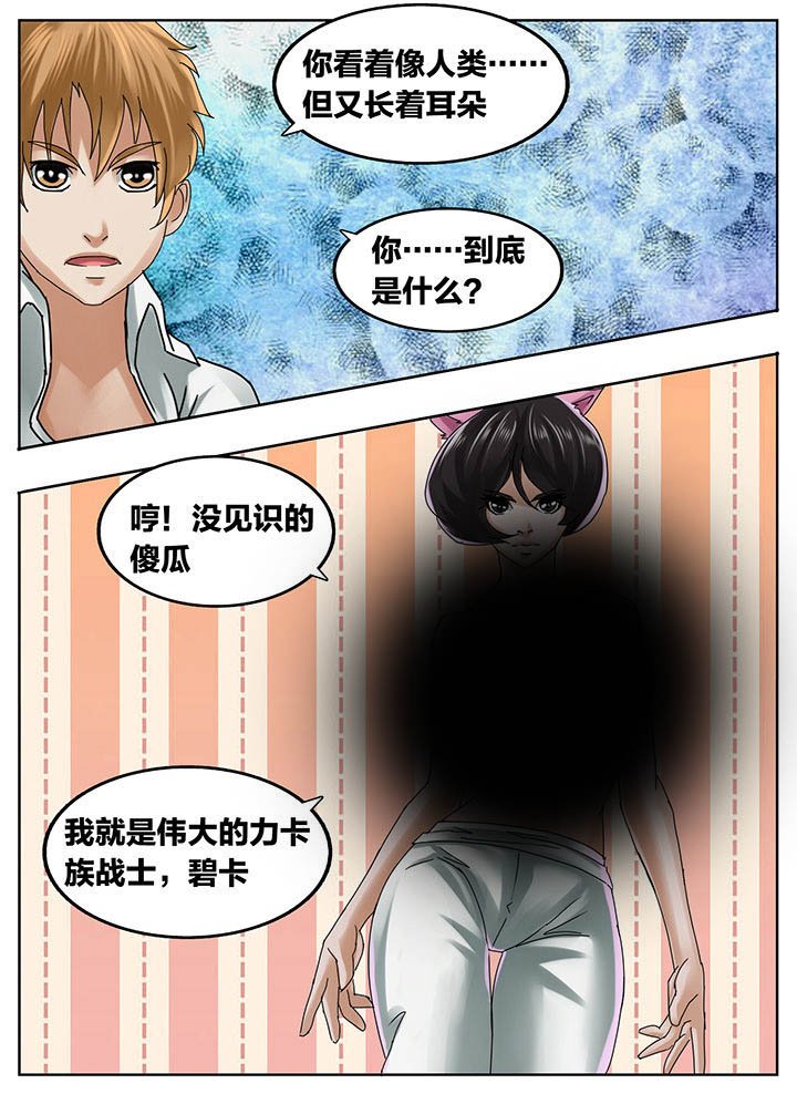 第203章：