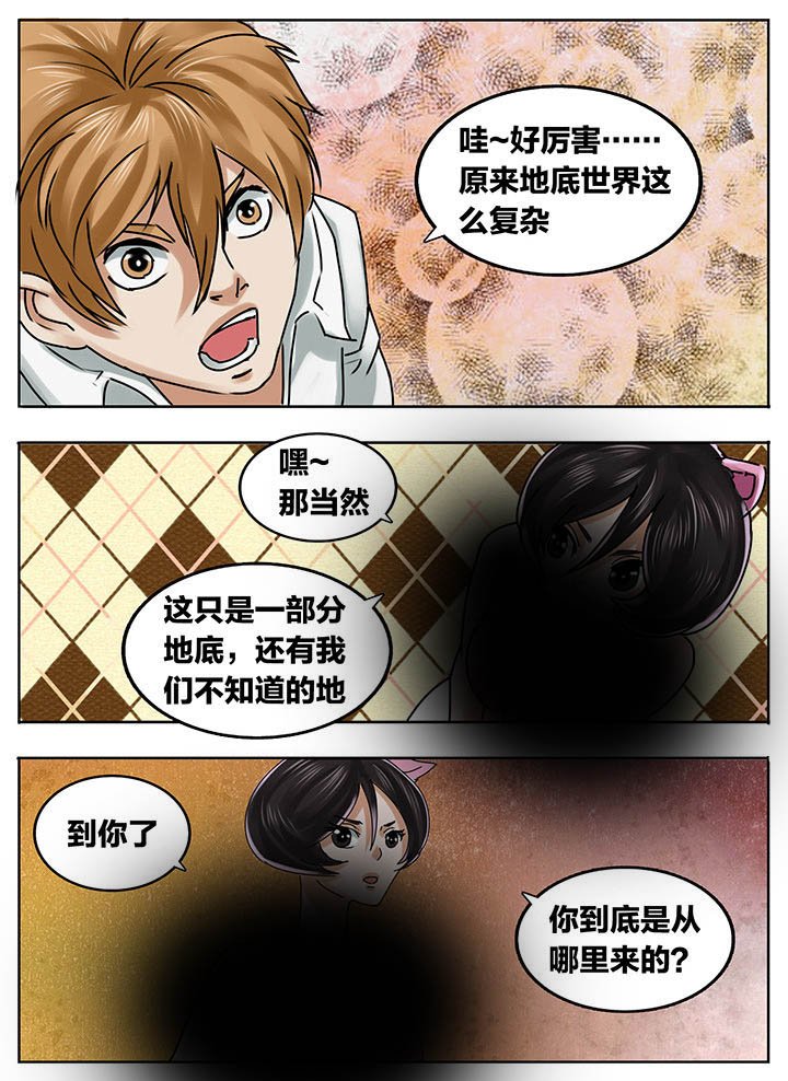 第204章：