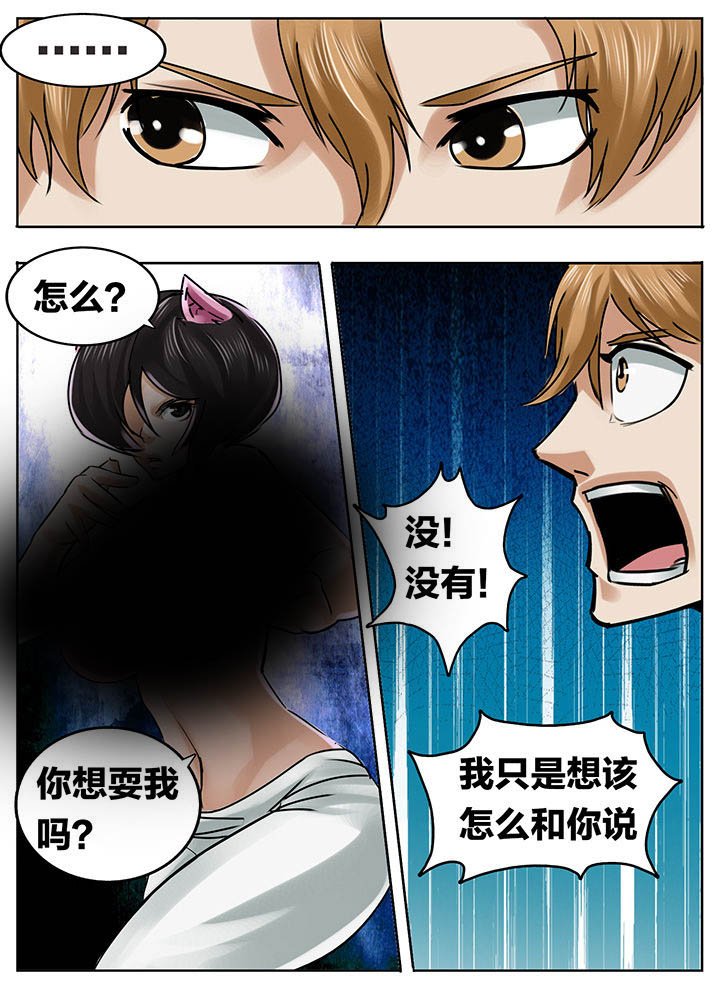 第204章：