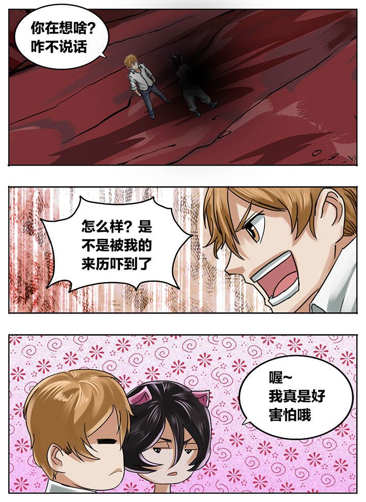 第204章：