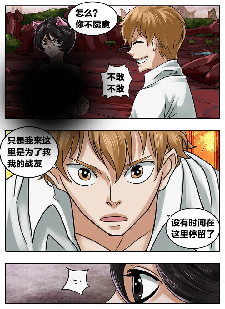 第204章：