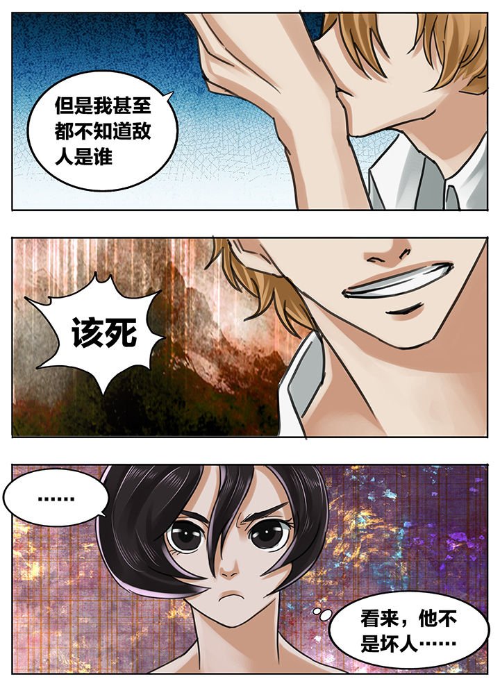第204章：