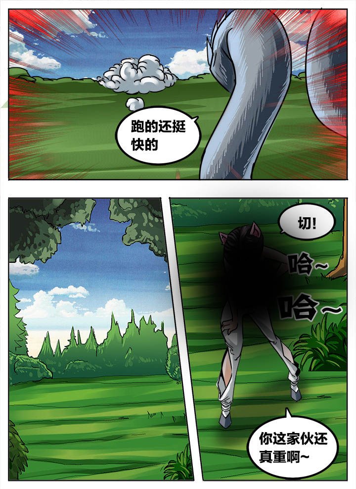 第207章：