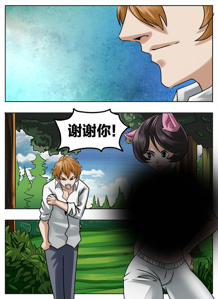 第207章：
