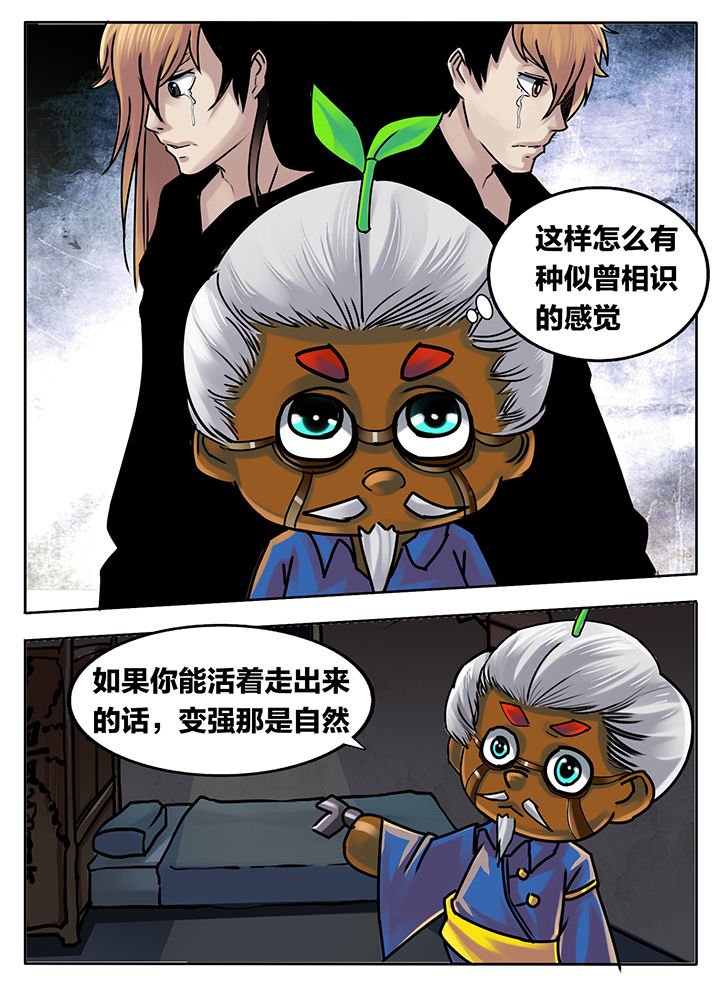 第217章：