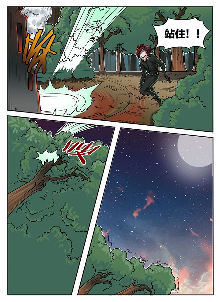 第228章：