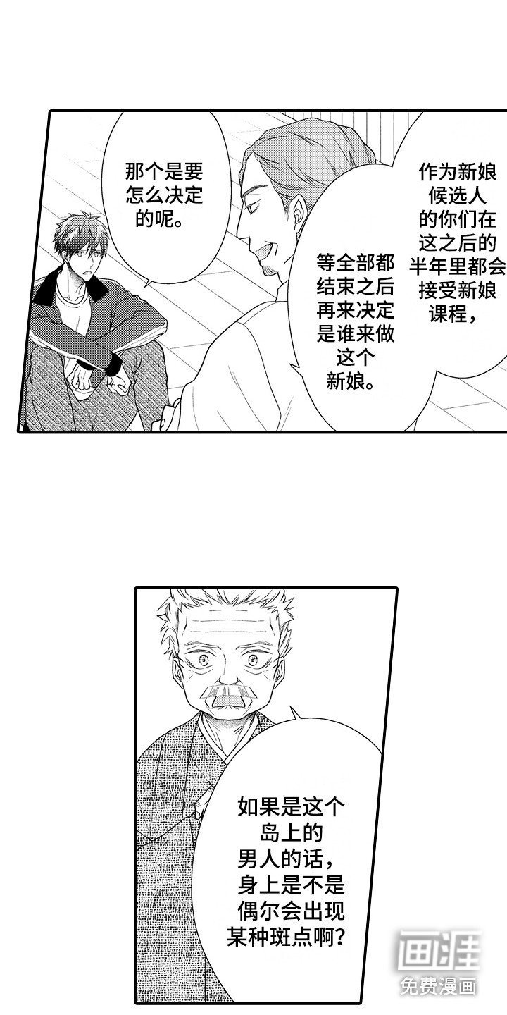 第4章：新娘候选人