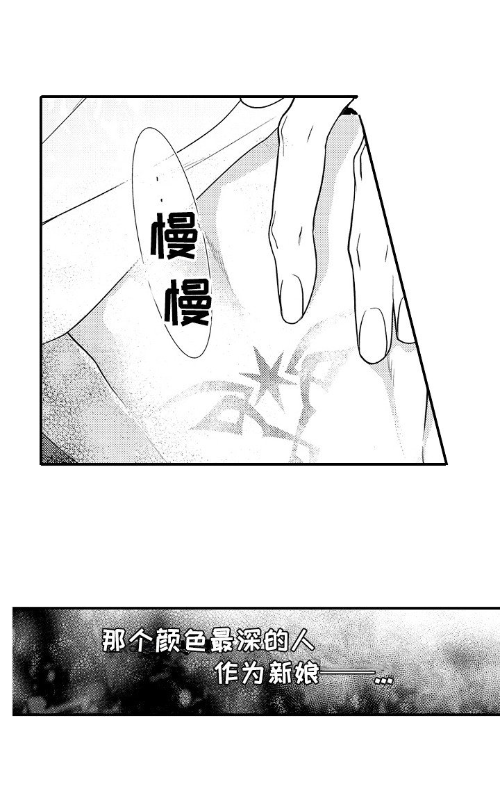 第6章：体验一下