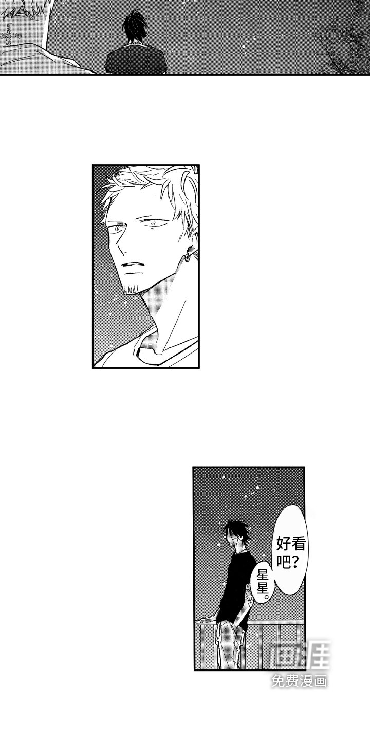第13章：看星星