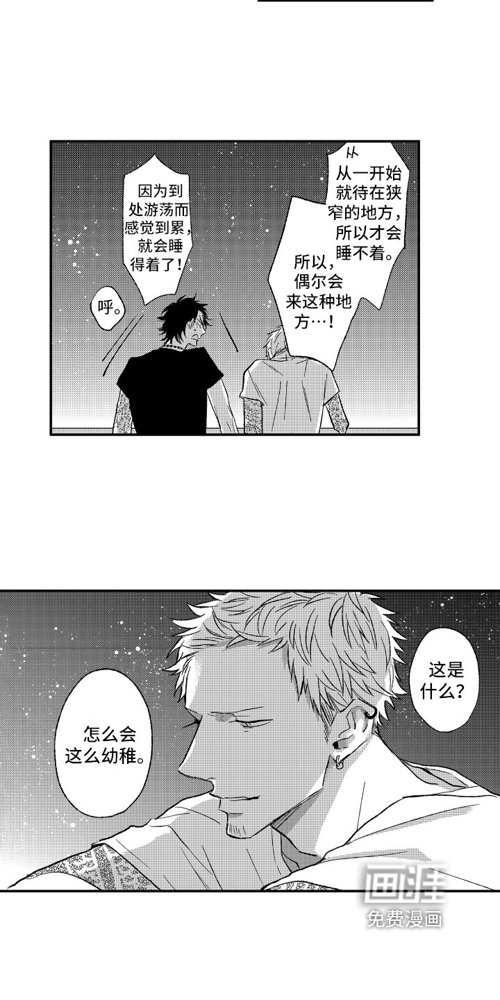 第13章：看星星
