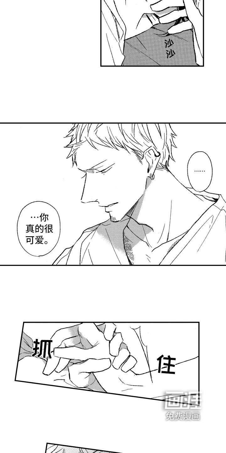 第17章：灵丹妙药