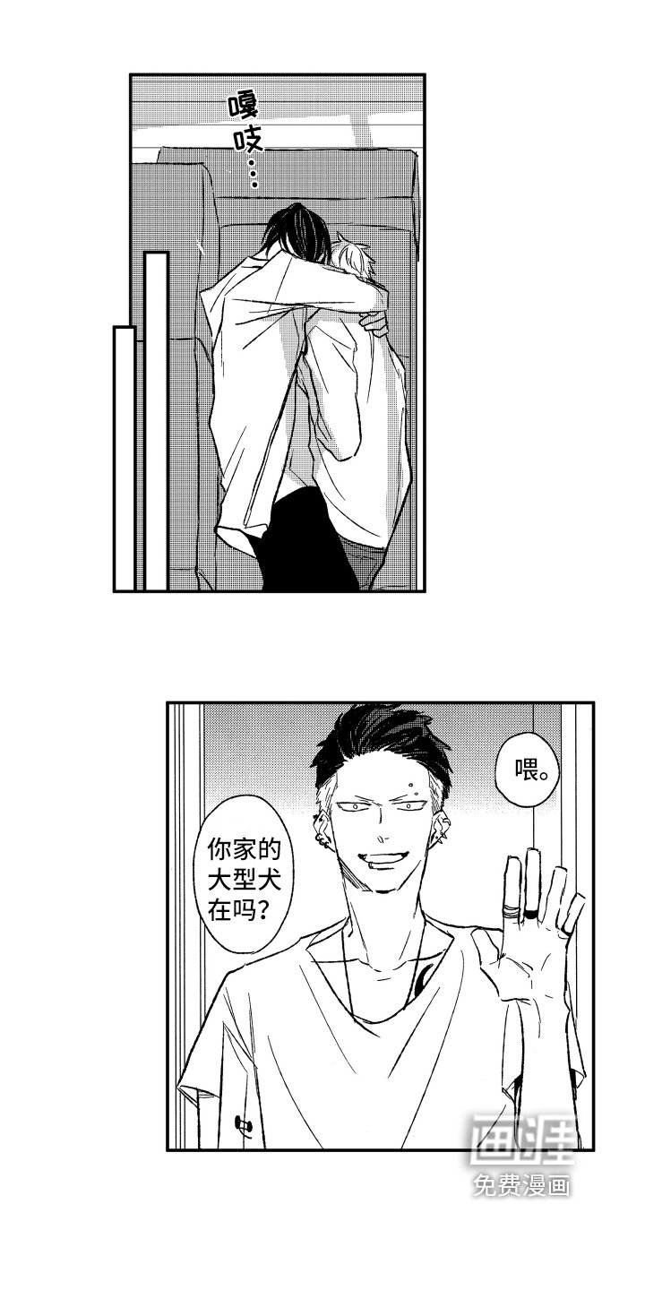 第17章：灵丹妙药