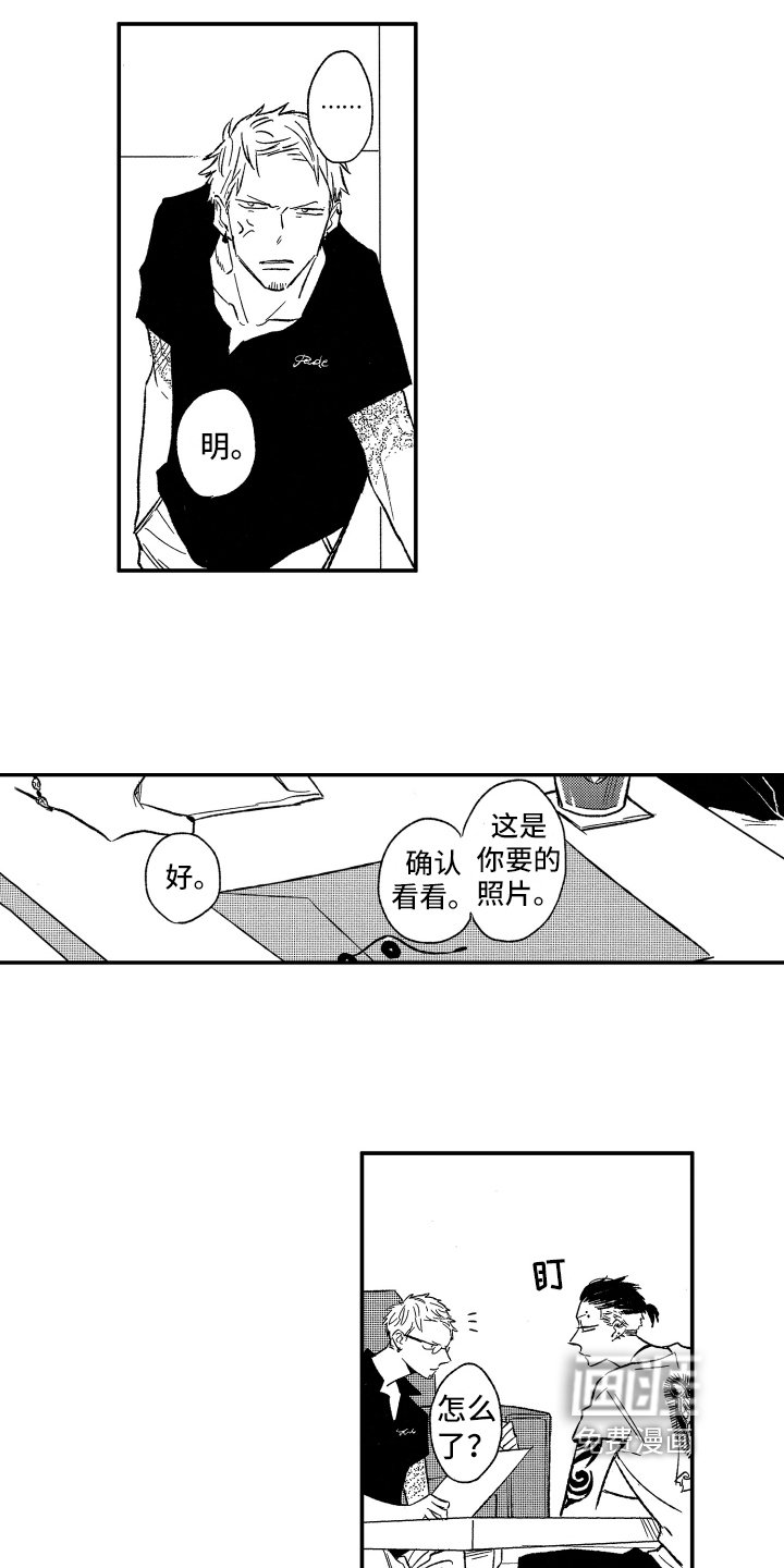 第17章：灵丹妙药