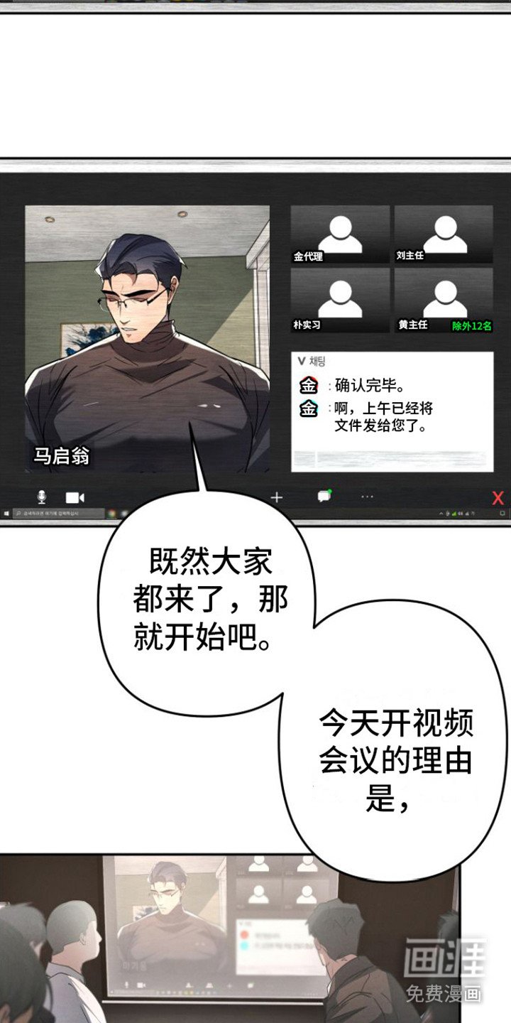 第12章：视频会议