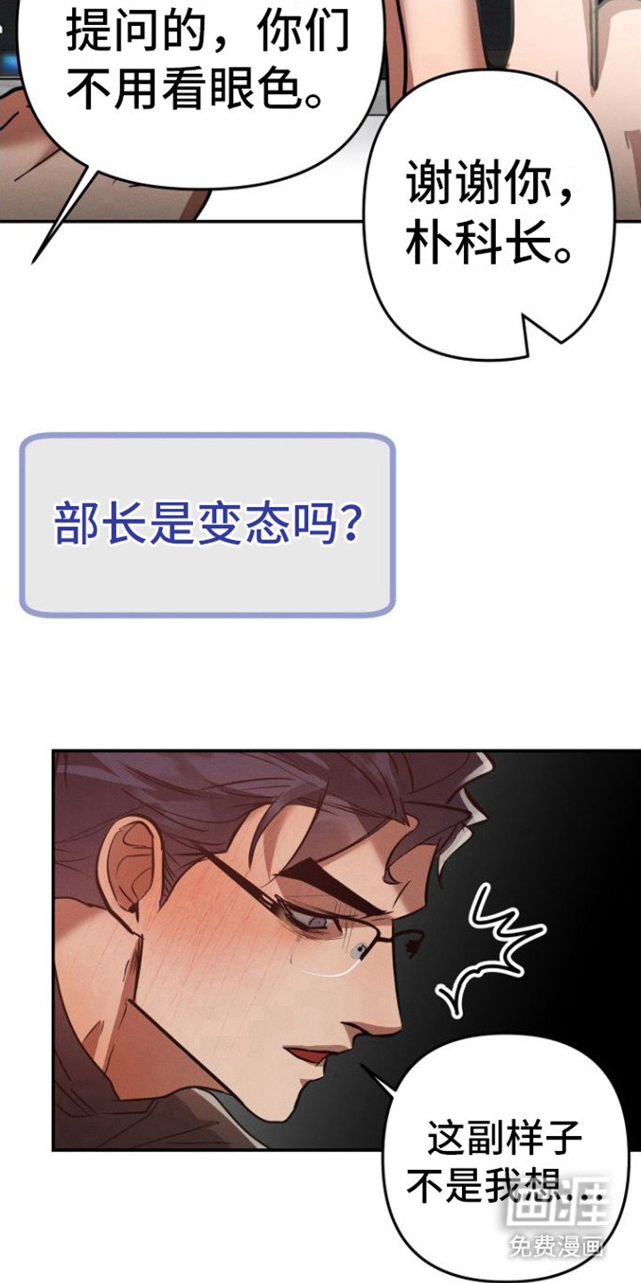 第12章：视频会议