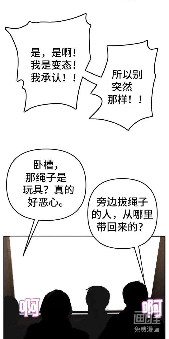 第12章：视频会议