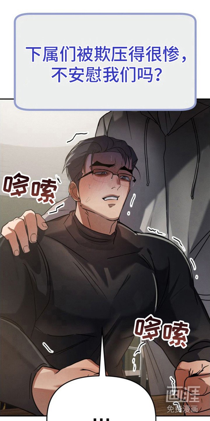 第12章：视频会议