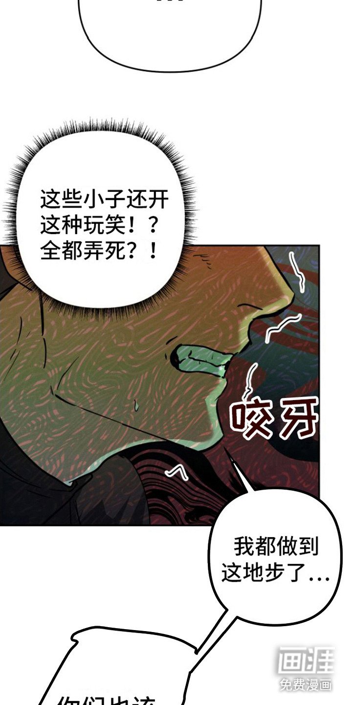 第12章：视频会议