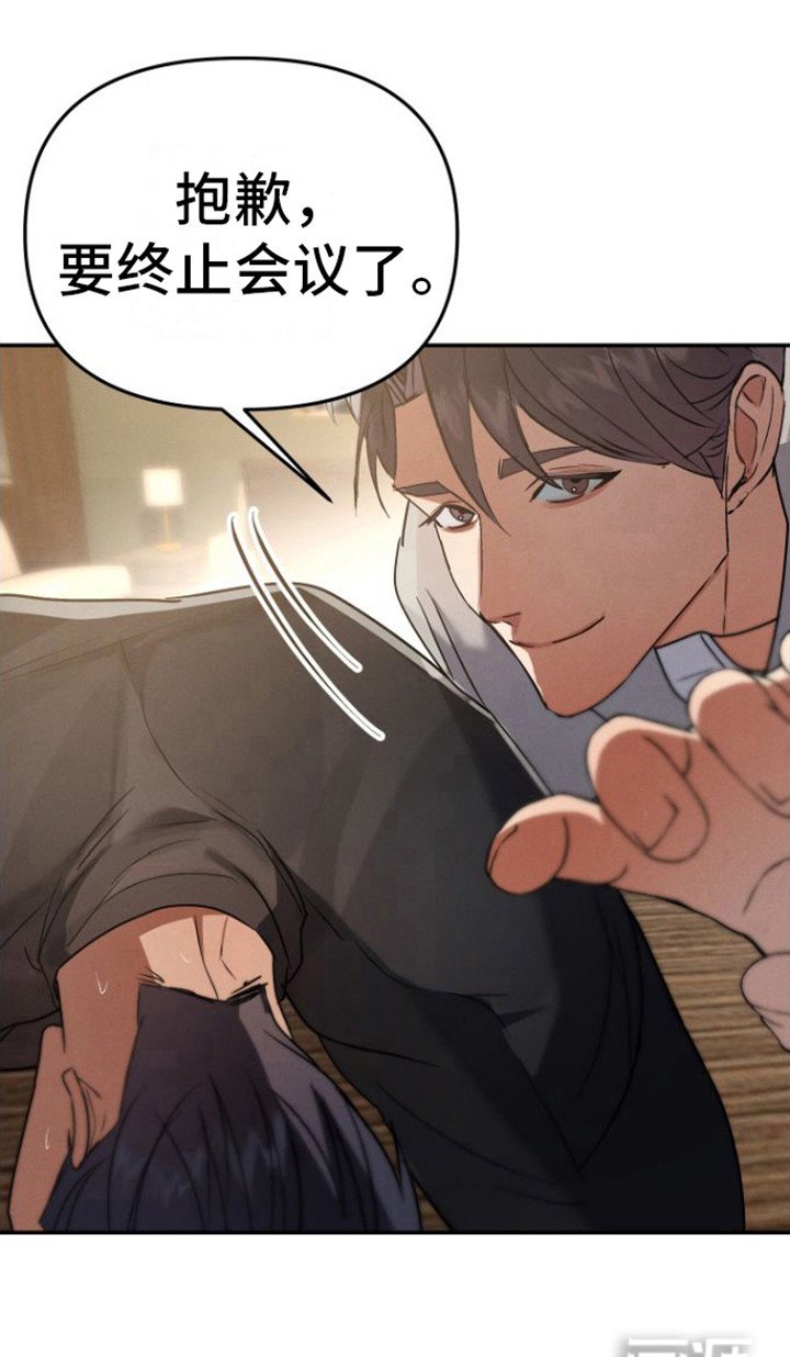 第12章：视频会议