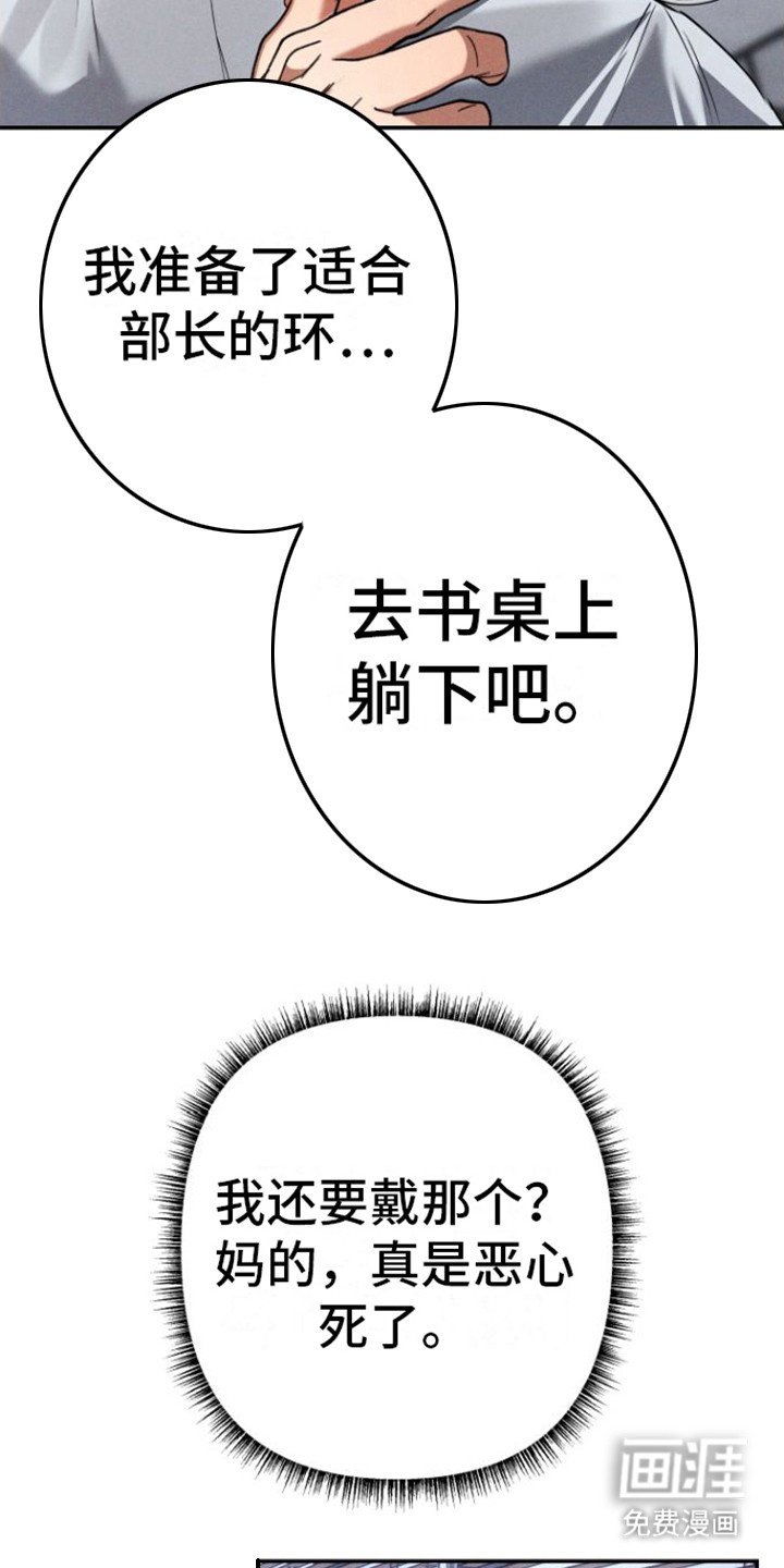 第4章： 小礼物