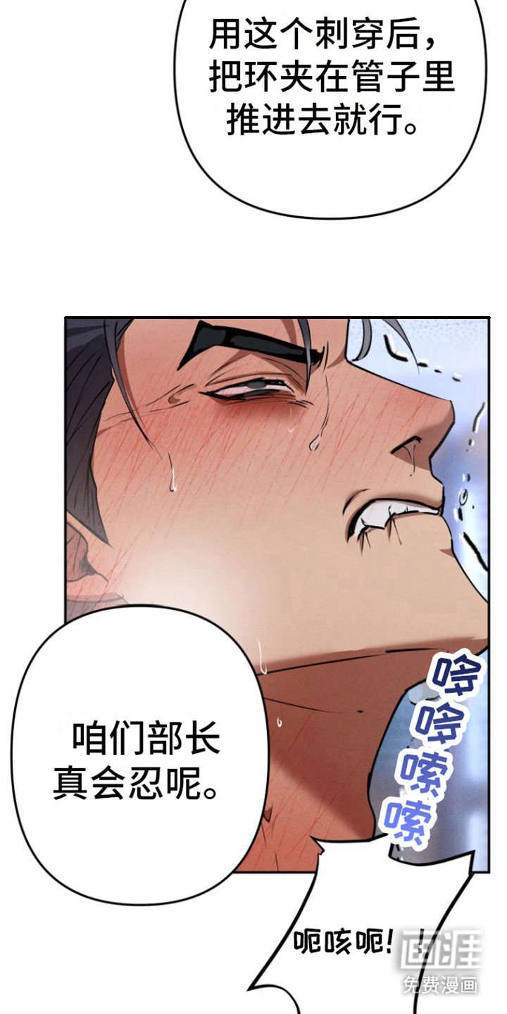 第4章： 小礼物