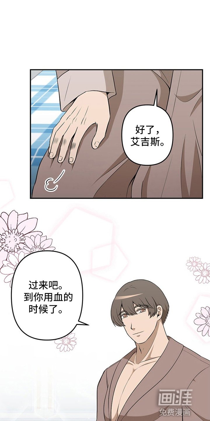 第11章：进食