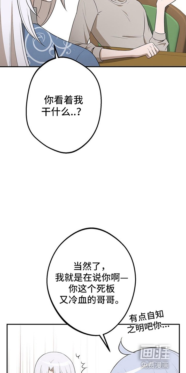 第17章：斗嘴