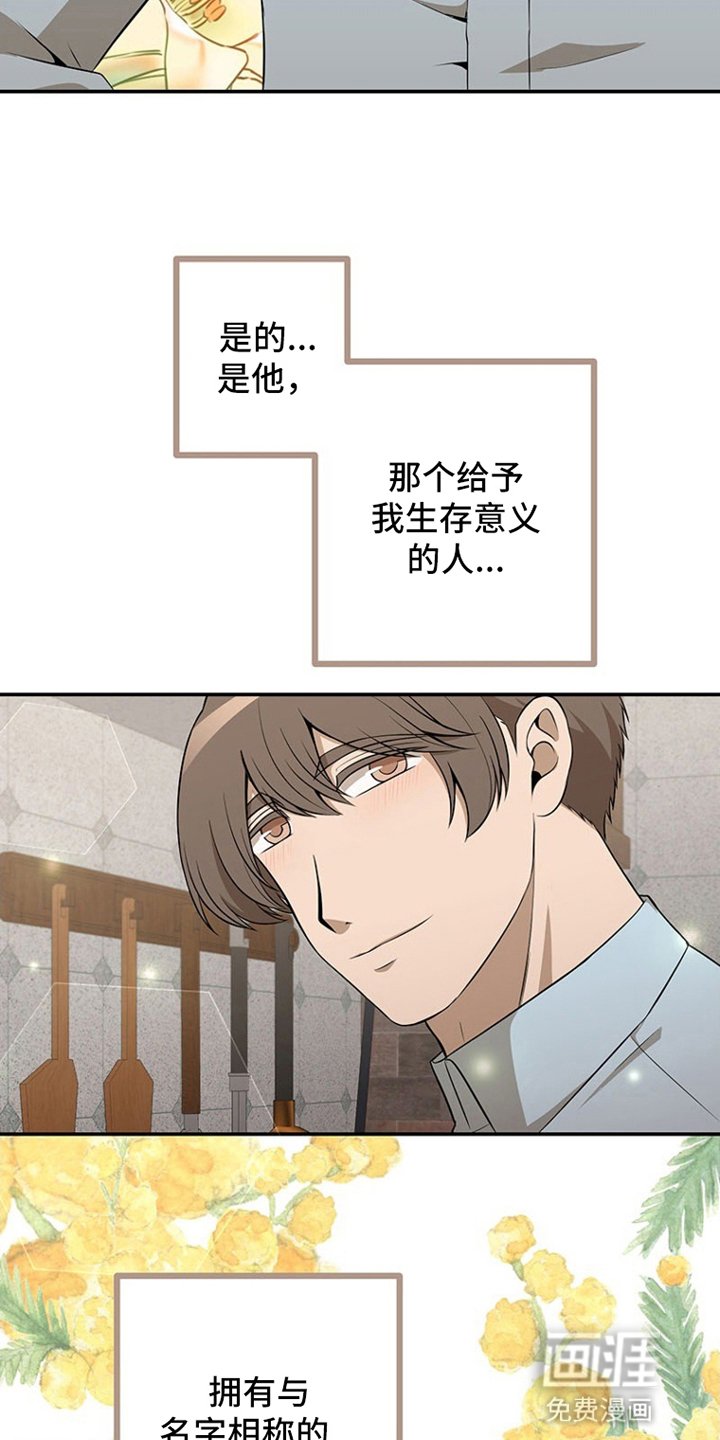 第8章：唯一挚爱