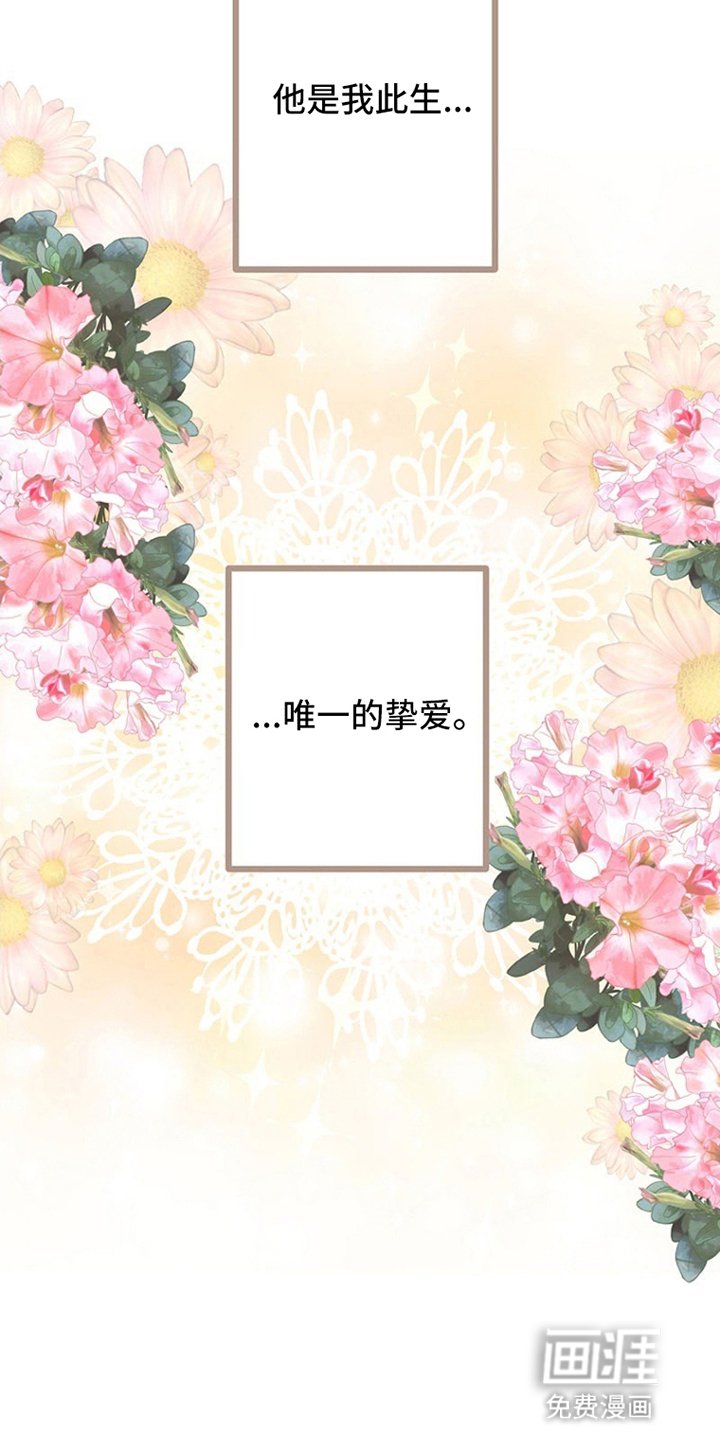 第8章：唯一挚爱