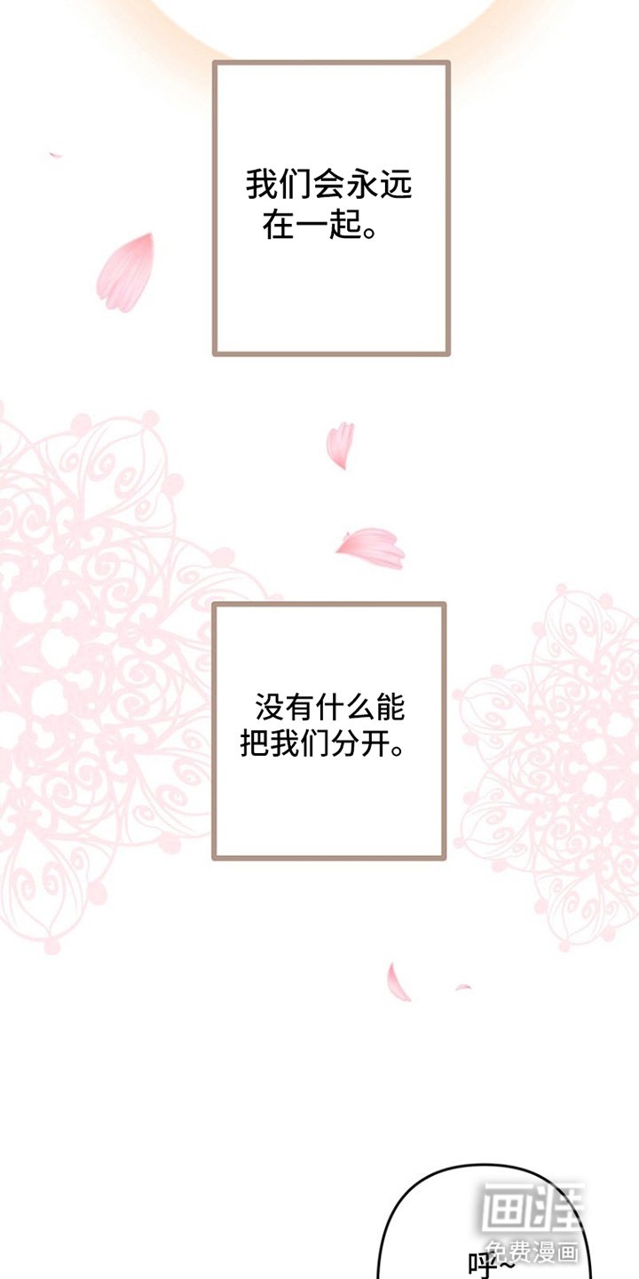 第8章：唯一挚爱